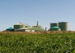 Biogasanlage mit Maisfeld